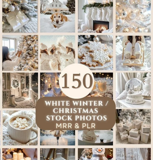 150 Winter White Christmas Stock Photos